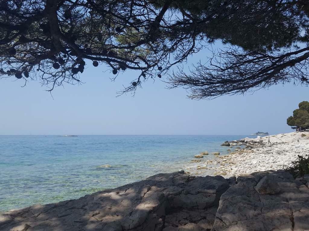 Studio Apartment Rosemary Rovinj Exterior photo
